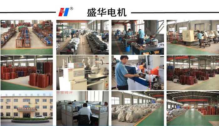 變頻調(diào)速電機(jī)
