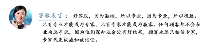 山東電機(jī)廠,大功率電機(jī),變頻調(diào)速電機(jī)