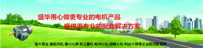 山東電機(jī)廠,高效節(jié)能三相異步電動(dòng)機(jī),高效節(jié)能電動(dòng)機(jī),三相電動(dòng)機(jī)