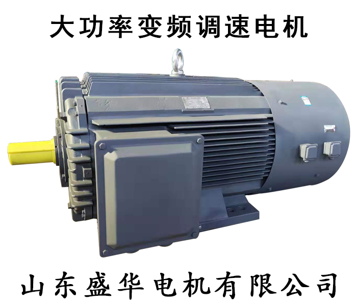 大功率變頻電機(jī)廠-盛華電機(jī)